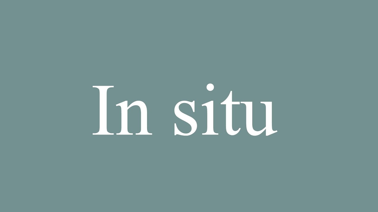 in situ pronunciation