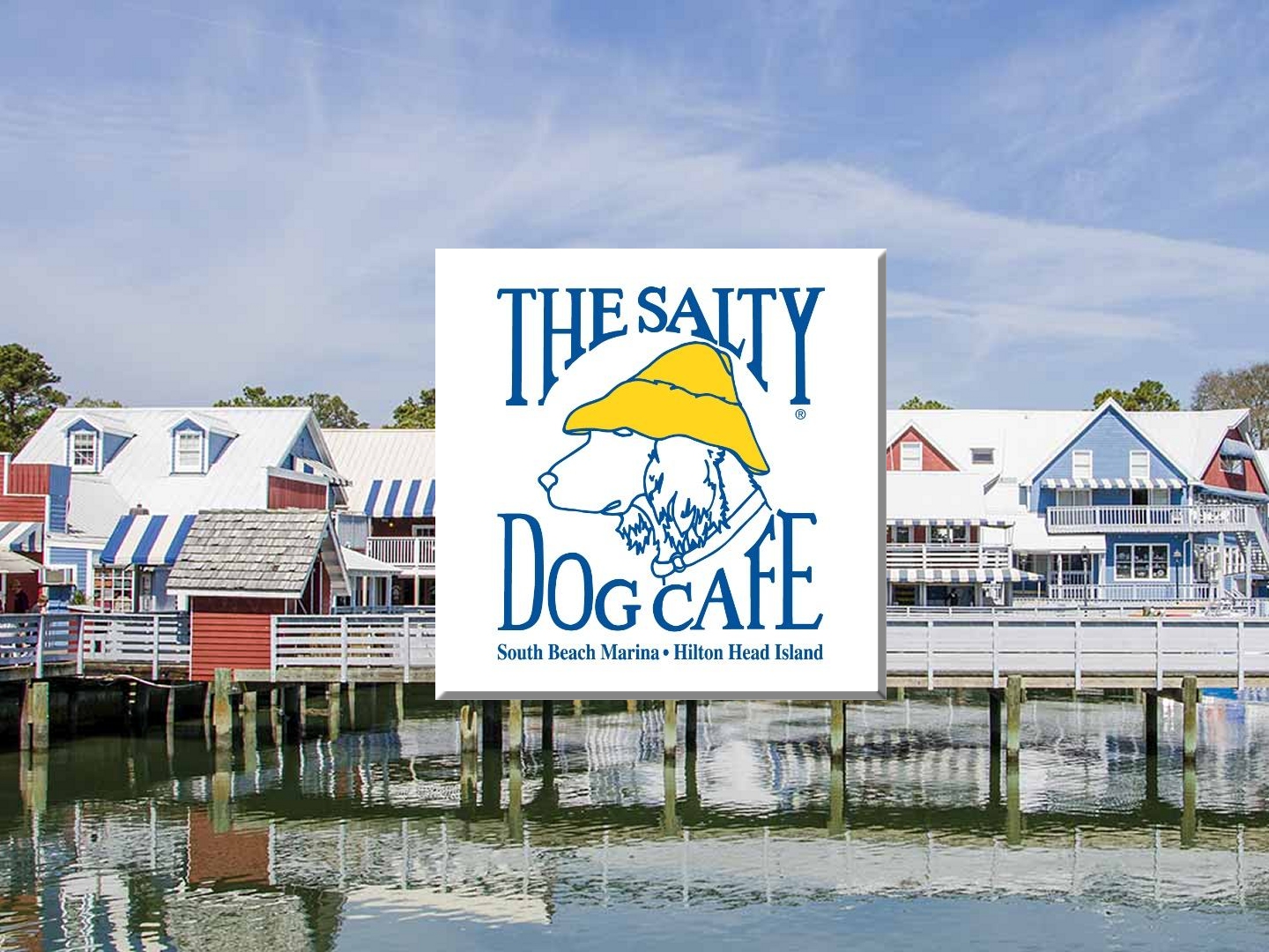 the salty dog hilton head sc