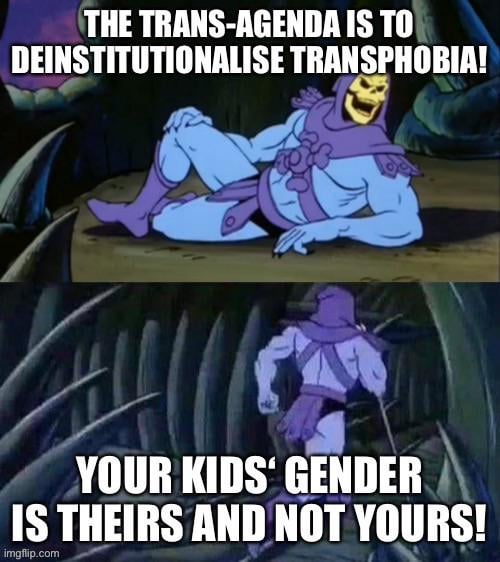 skeletor memes