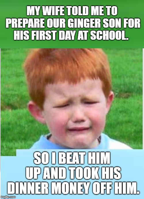 memes about gingers