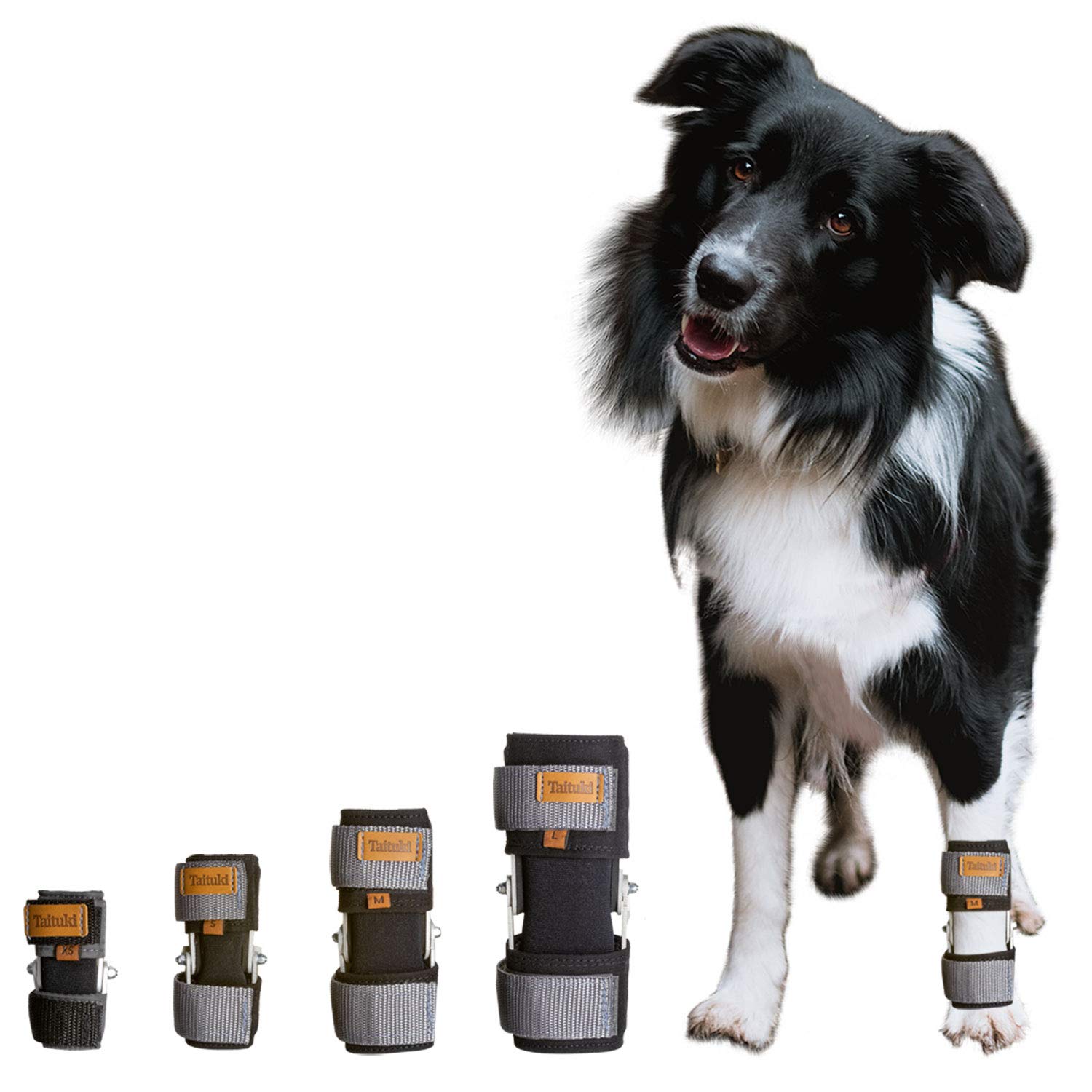 canine front leg brace