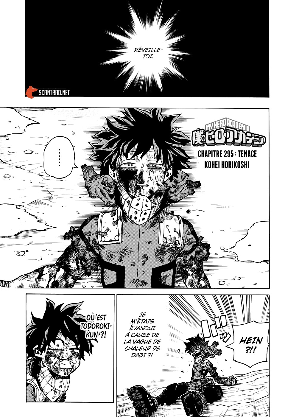 mha scan