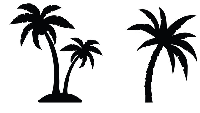 vector palm tree