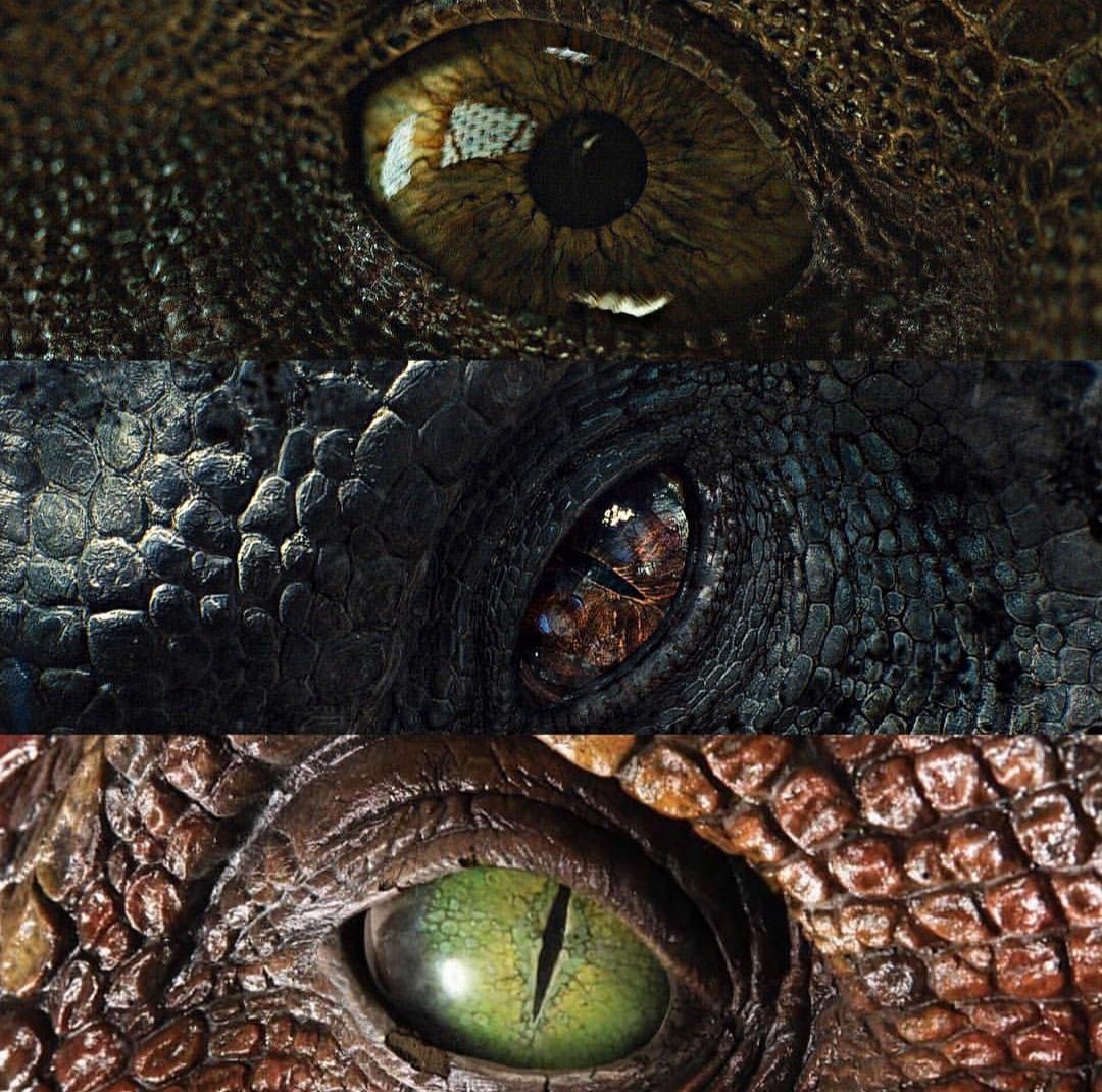 indominus rex eye