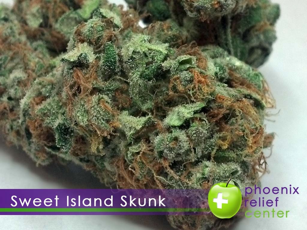 skunk strain allbud