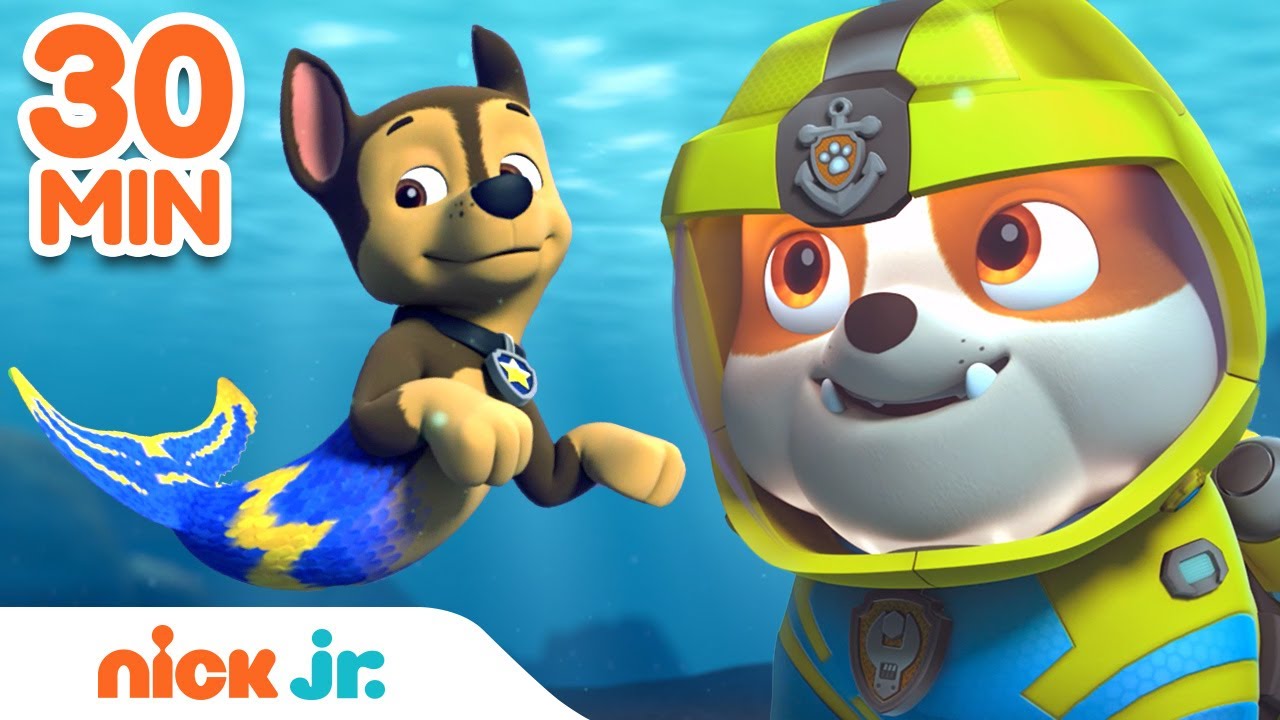 paw patrol rocky water