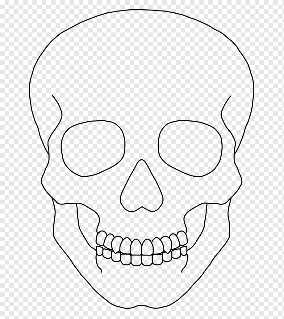 calavera dibujo a lapiz