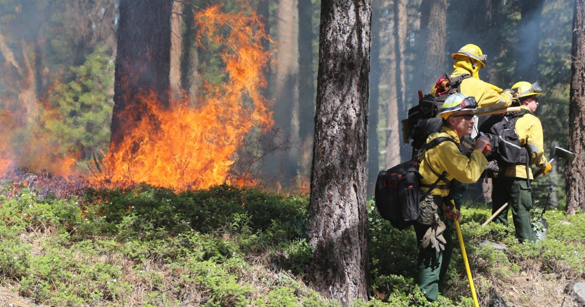 calaveras burn day