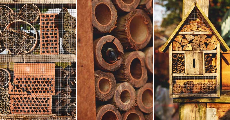 carpenter bee house diy