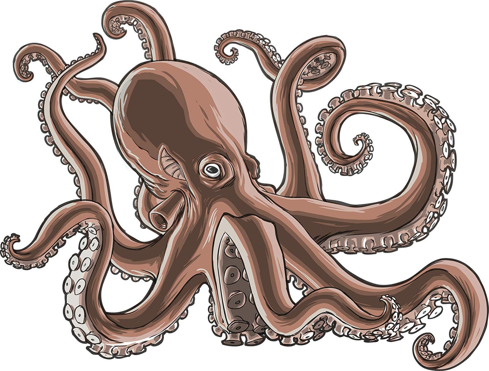 cartoon octopus