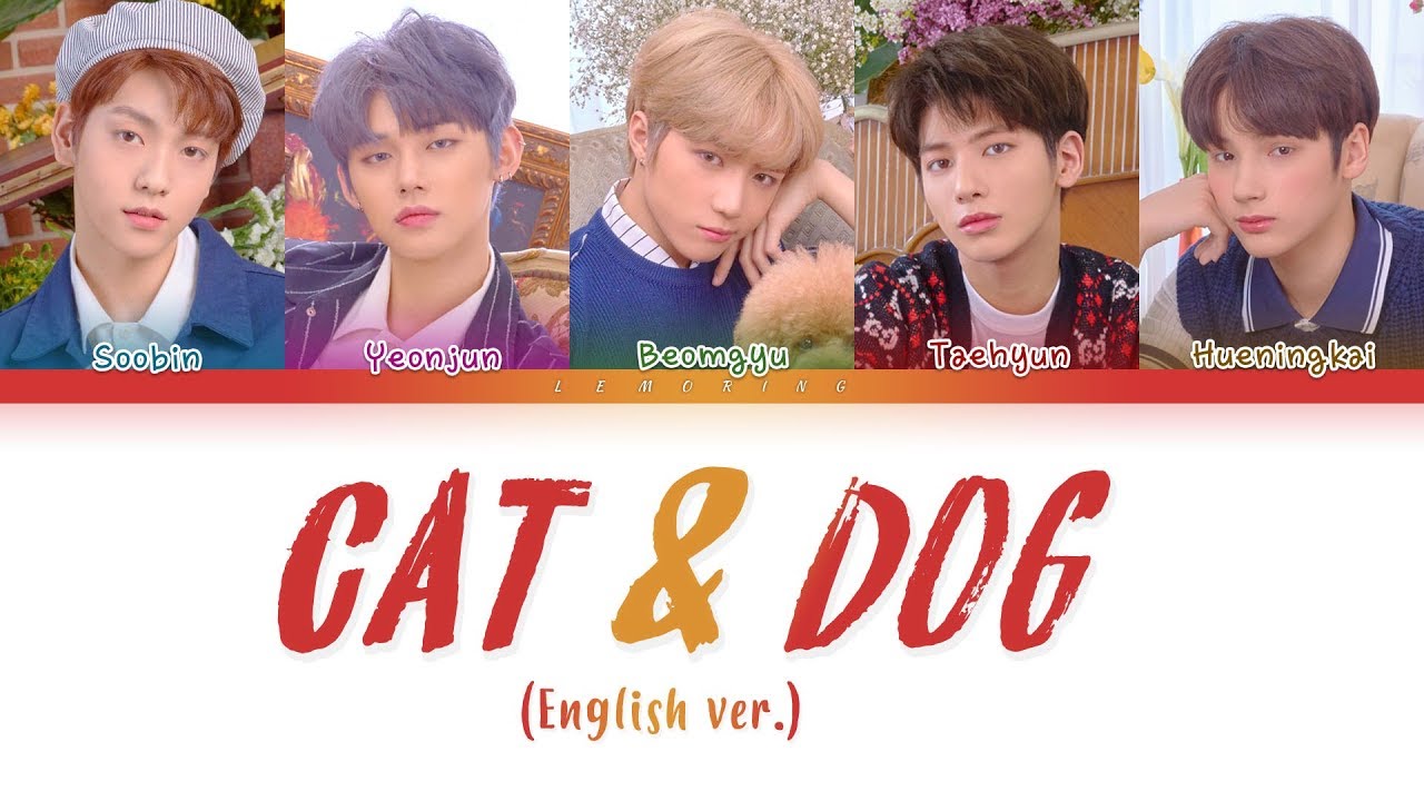 cat and dog english lyrics