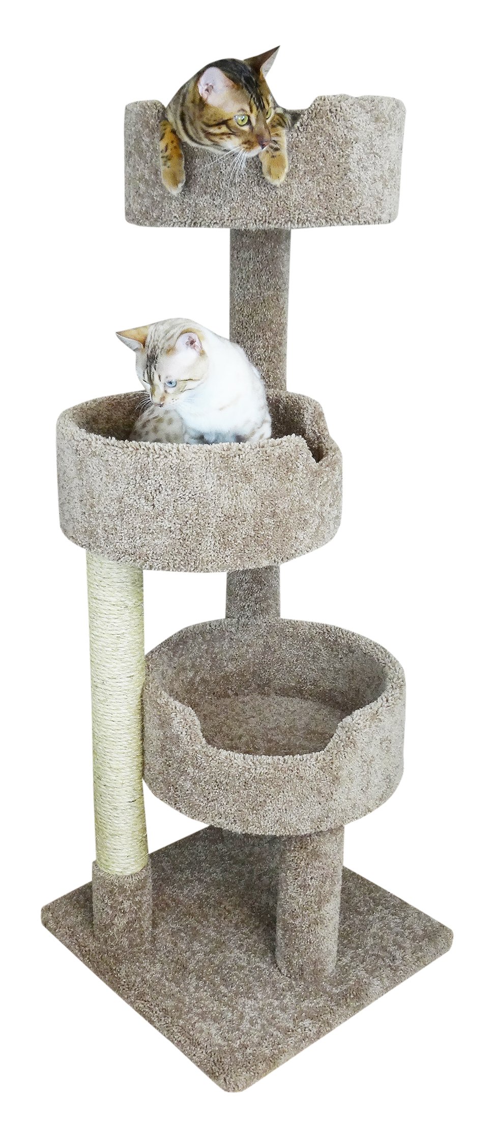 cat condos for cheap