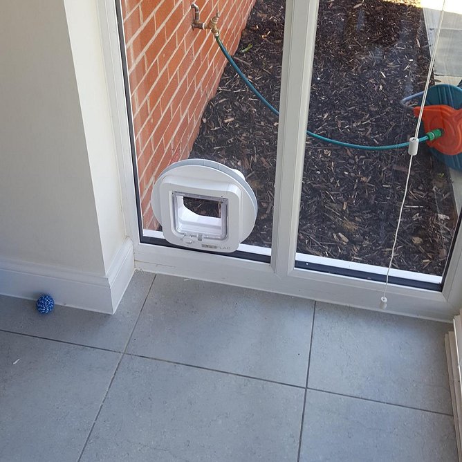 cat flap fitting near me