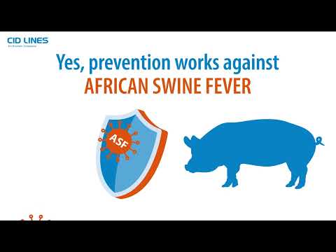 cdc african swine fever