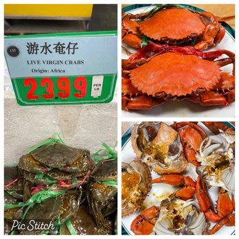 seafood paradise market photos