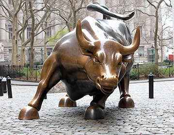 charging bull images