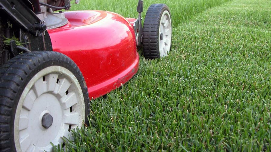 cheap mowing services near me