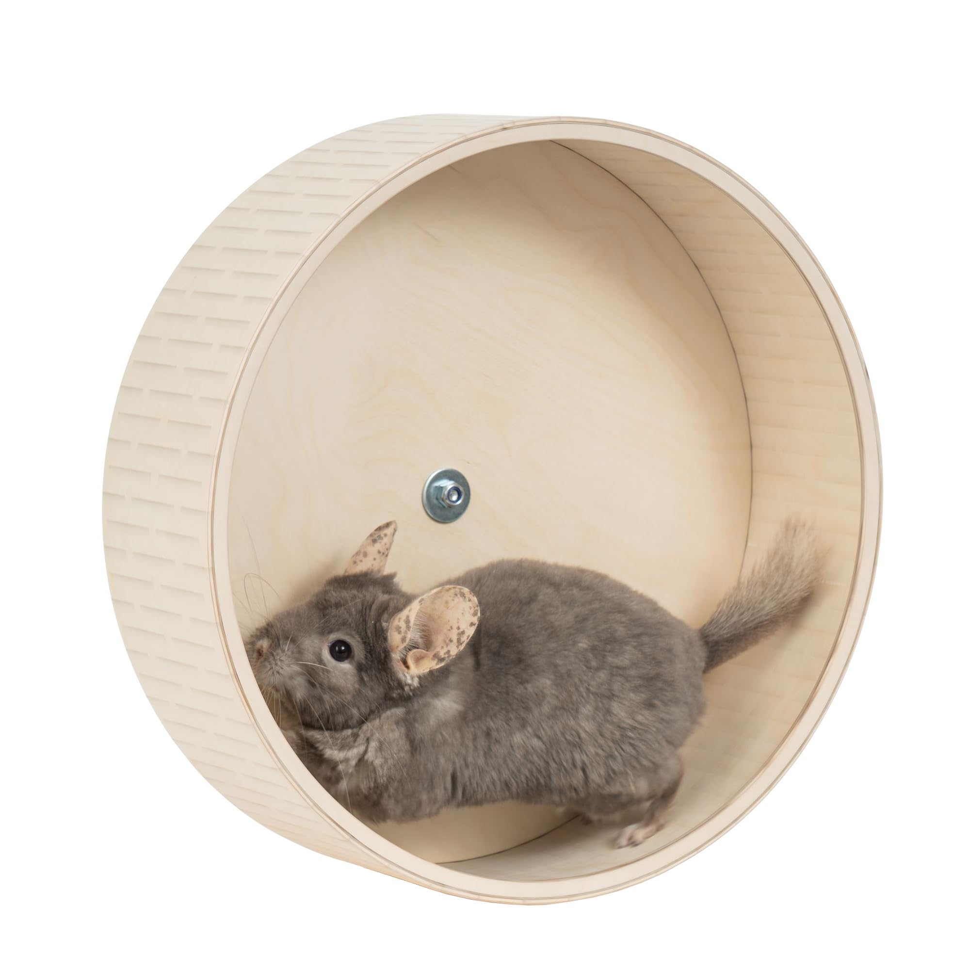 chinchilla wheel