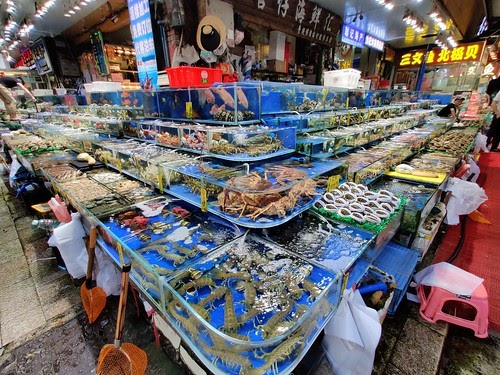 chinese fish market near me