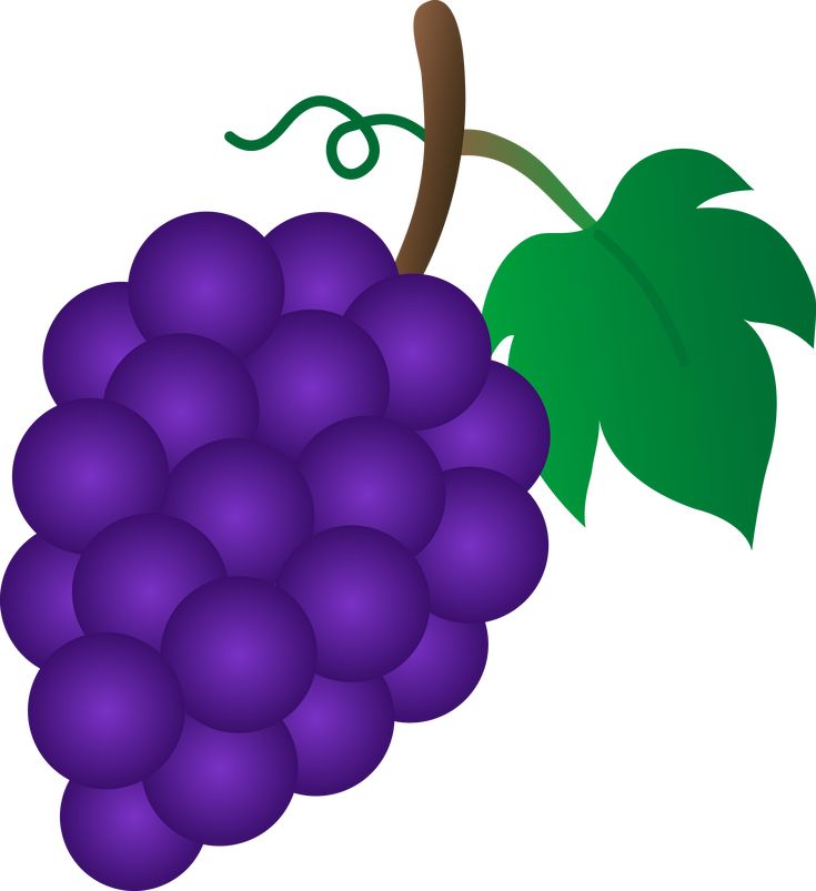 clip art grapes