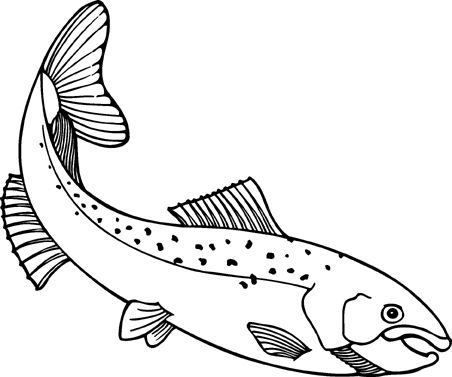 clip art salmon