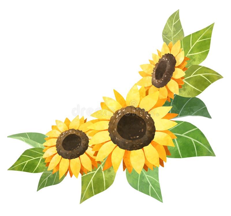 clipart sunflowers