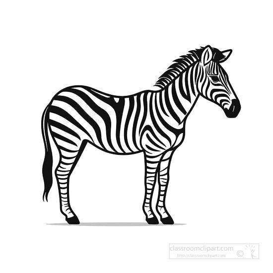 clipart zebra