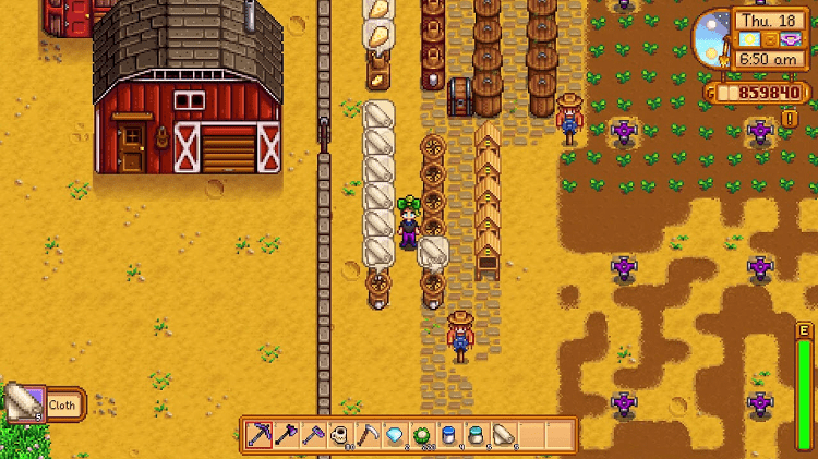 cloth stardew valley