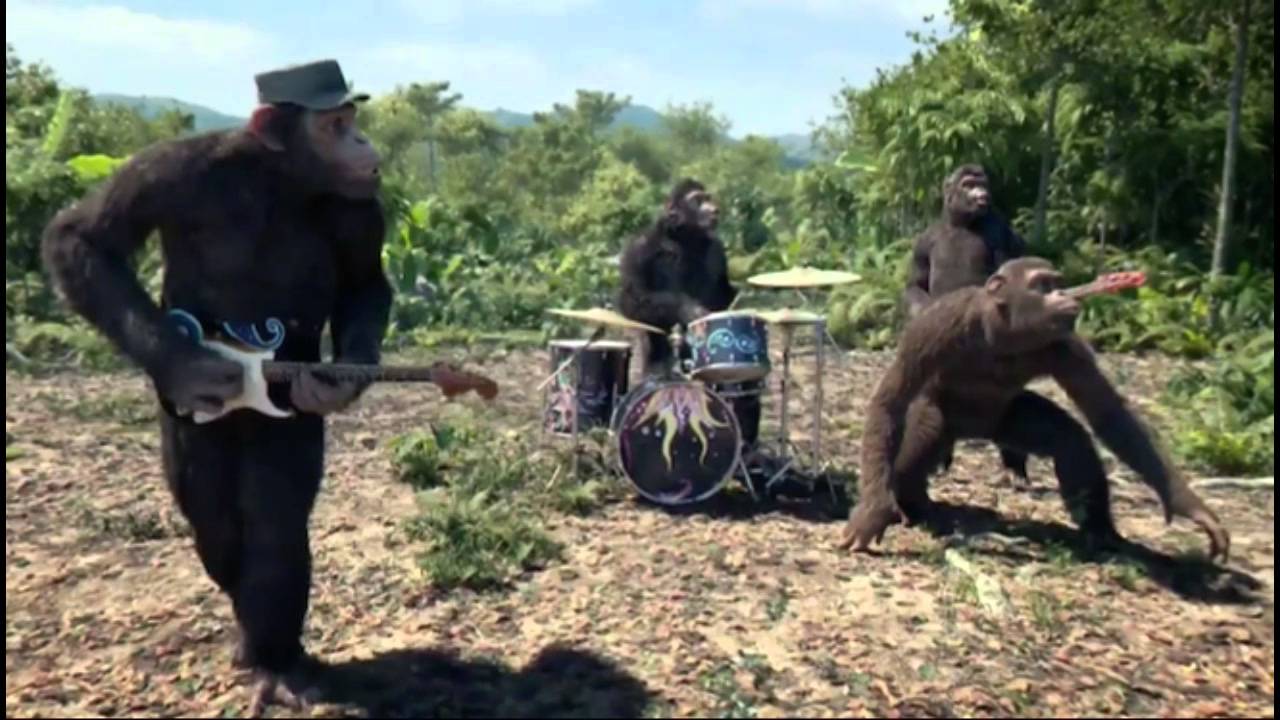 coldplay monkey