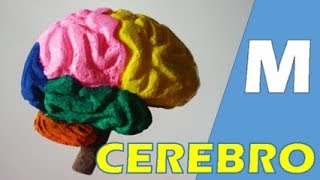 como hacer un cerebro con goma eva