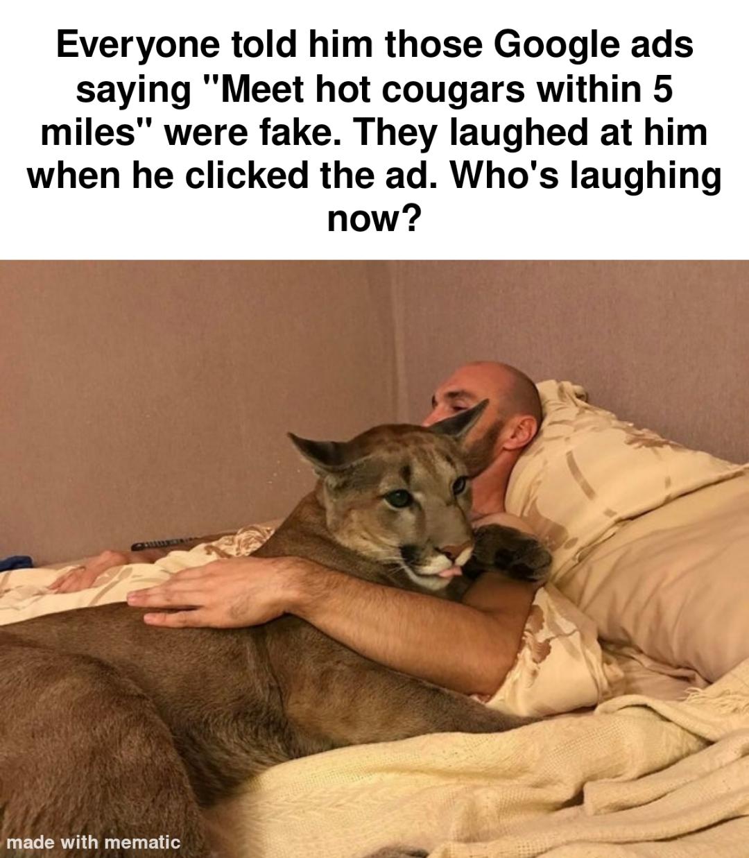 cougar meme