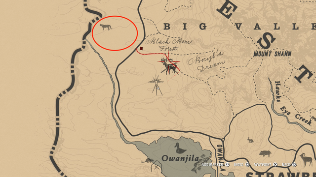 cougars rdr 2