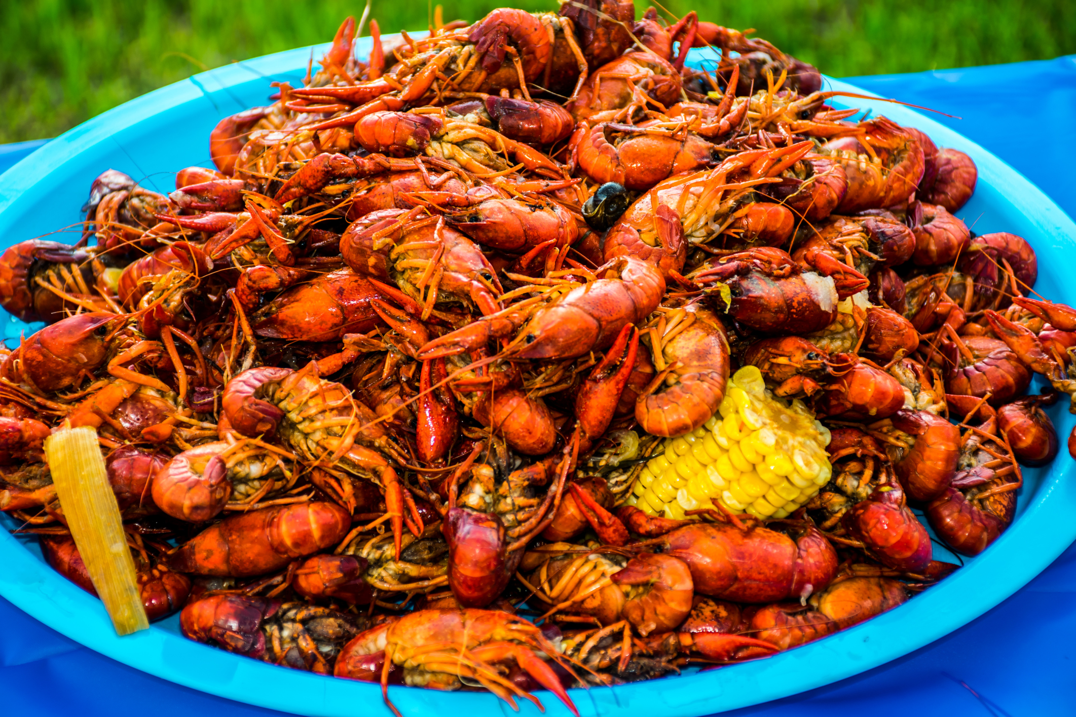 crawdaddys crawfish