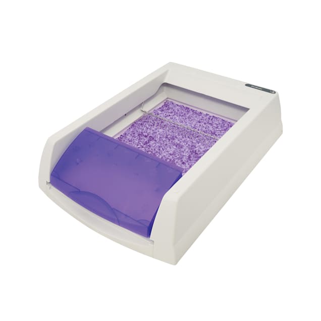 crystal litter box