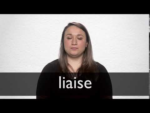 liaise synonym