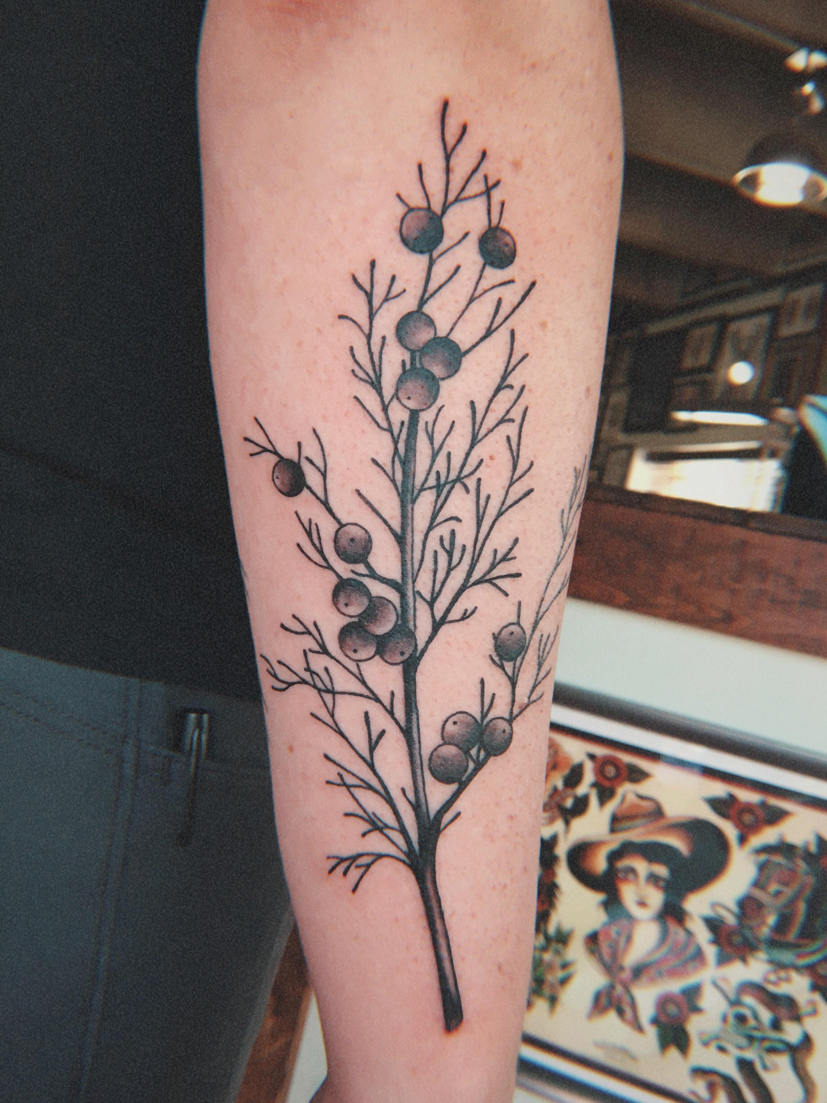 juniper branch tattoo