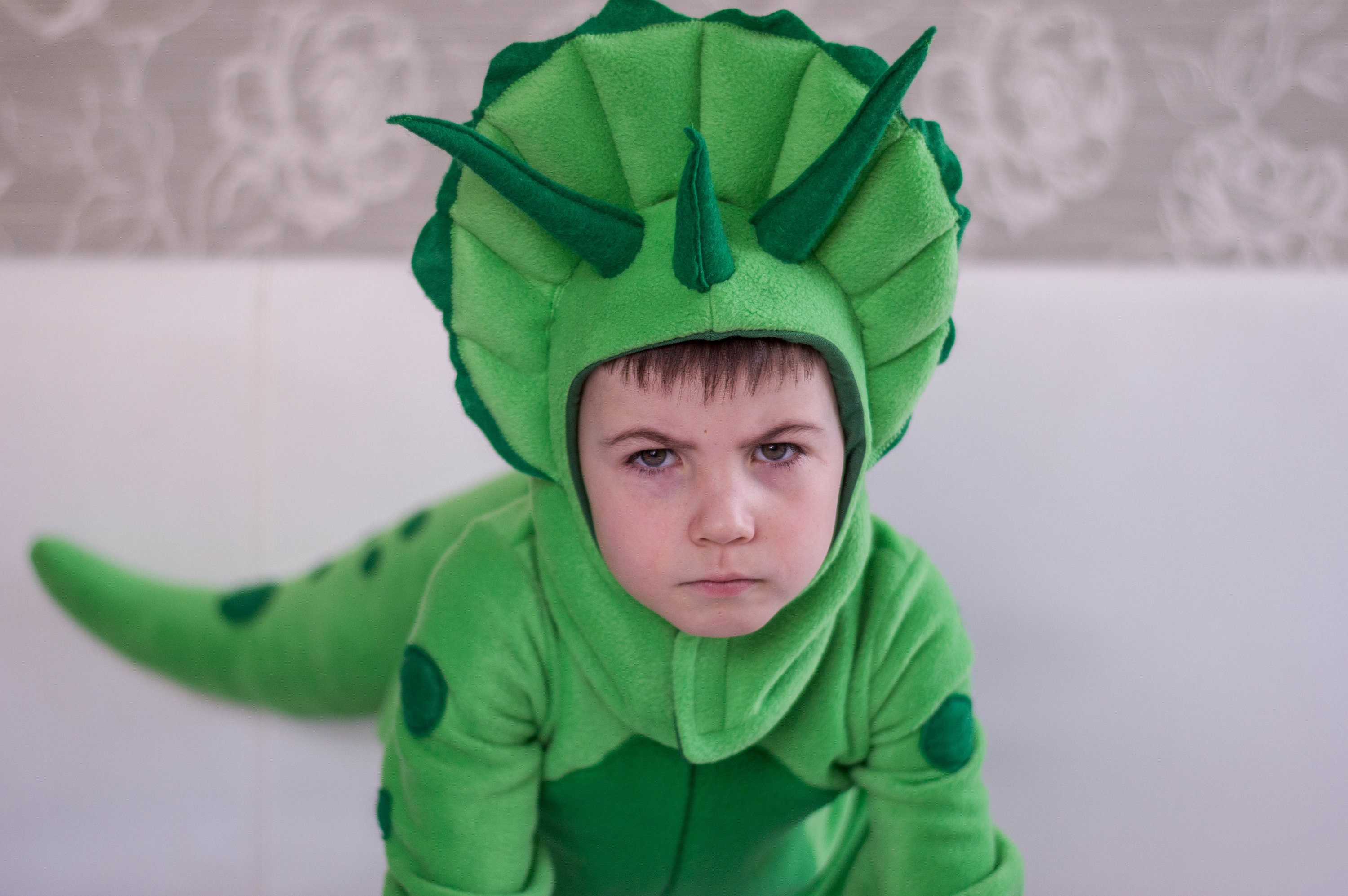 baby dinosaur costume