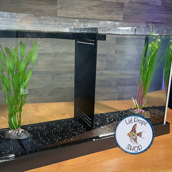 fish tank dividers