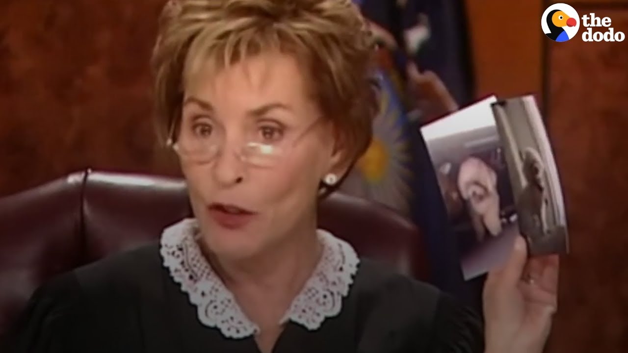 judge judy dog owner full episode