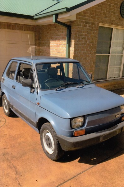 fiat niki for sale