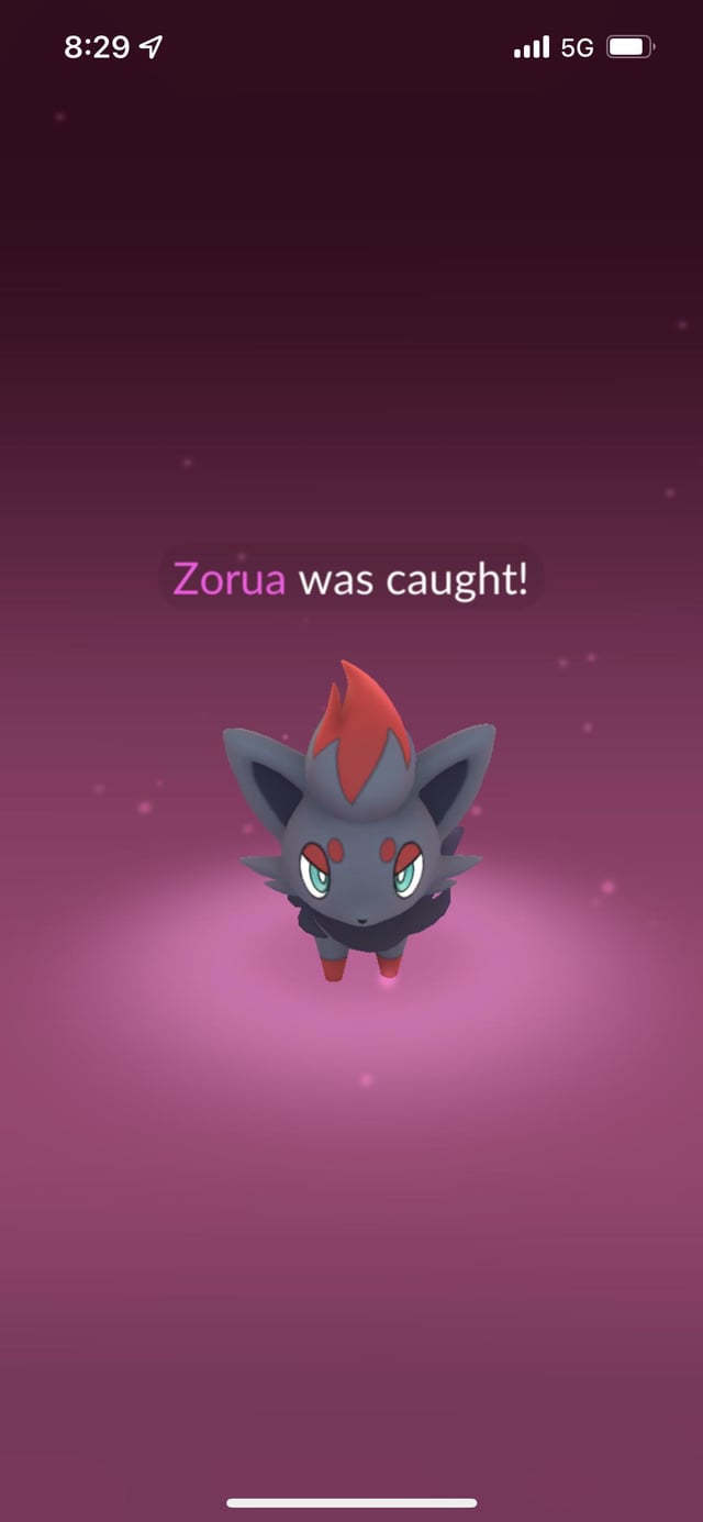 magikarp turned into zorua