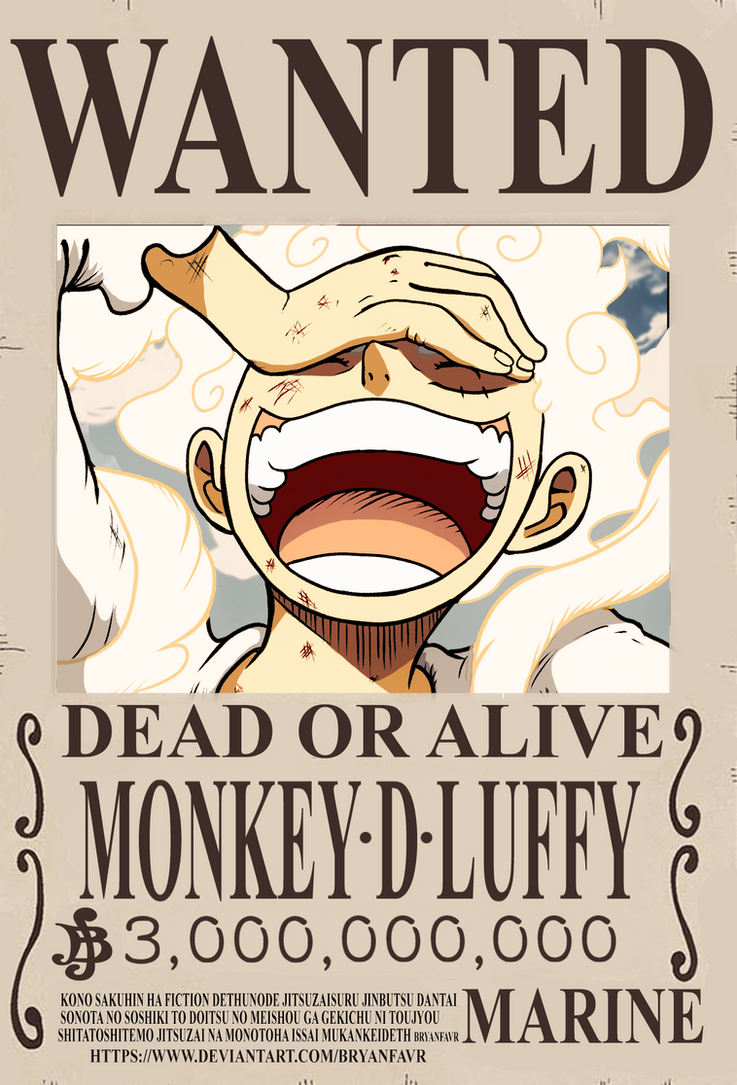 bounty of luffy