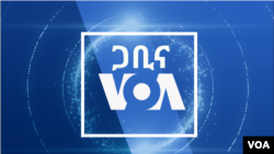 voa amharic news