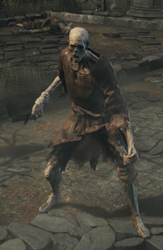 dark souls 3 hollow