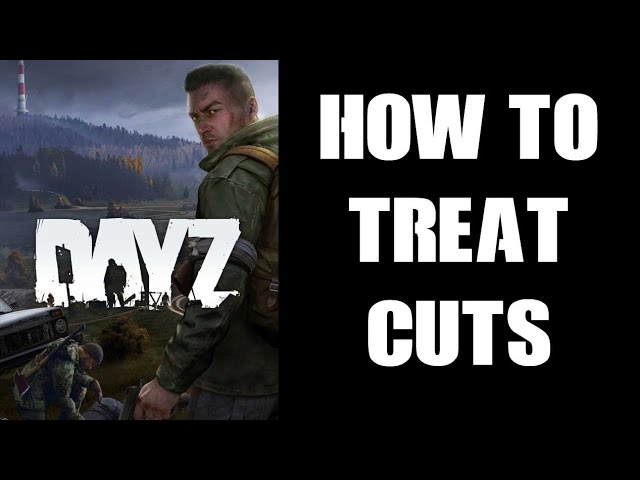 dayz stop bleeding