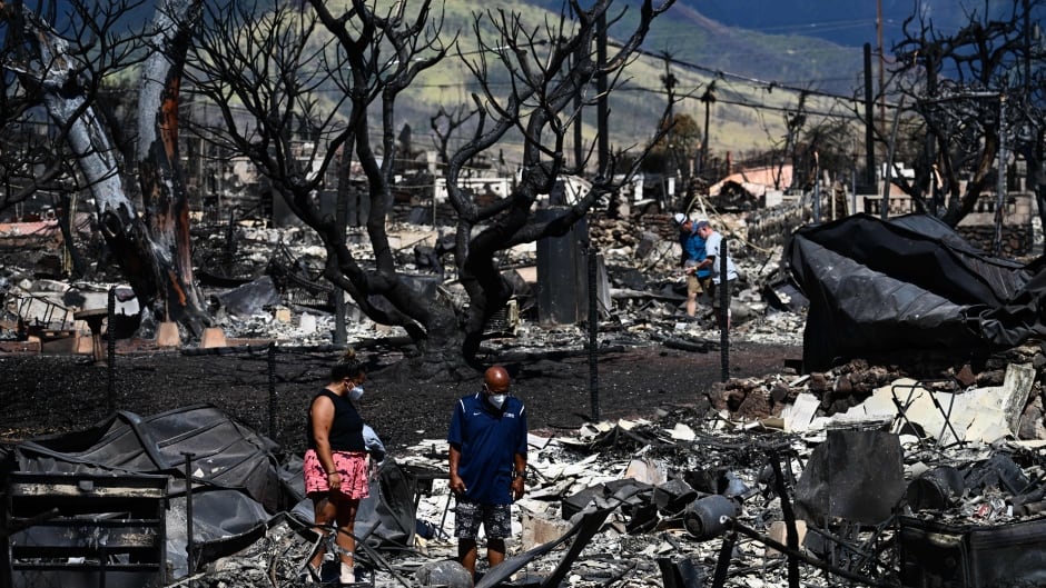 hawaii fires deliberately lit