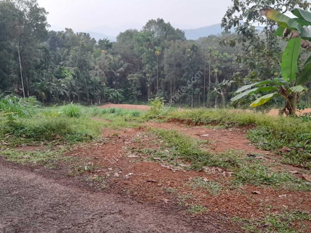 land for sale in kannur