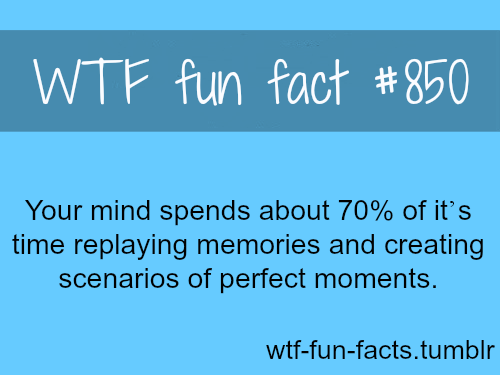 wtf fun facts tumblr