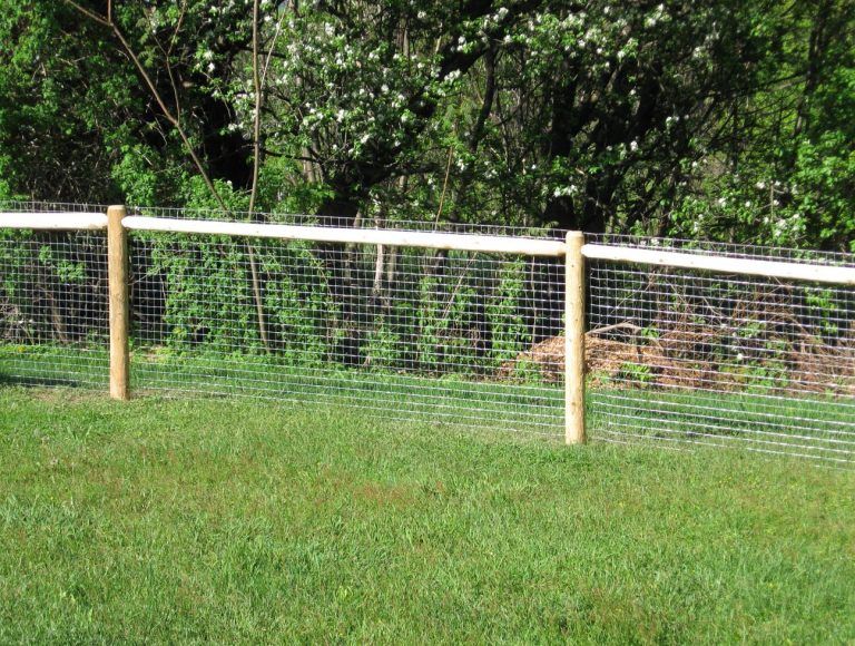 cheap dog fence ideas