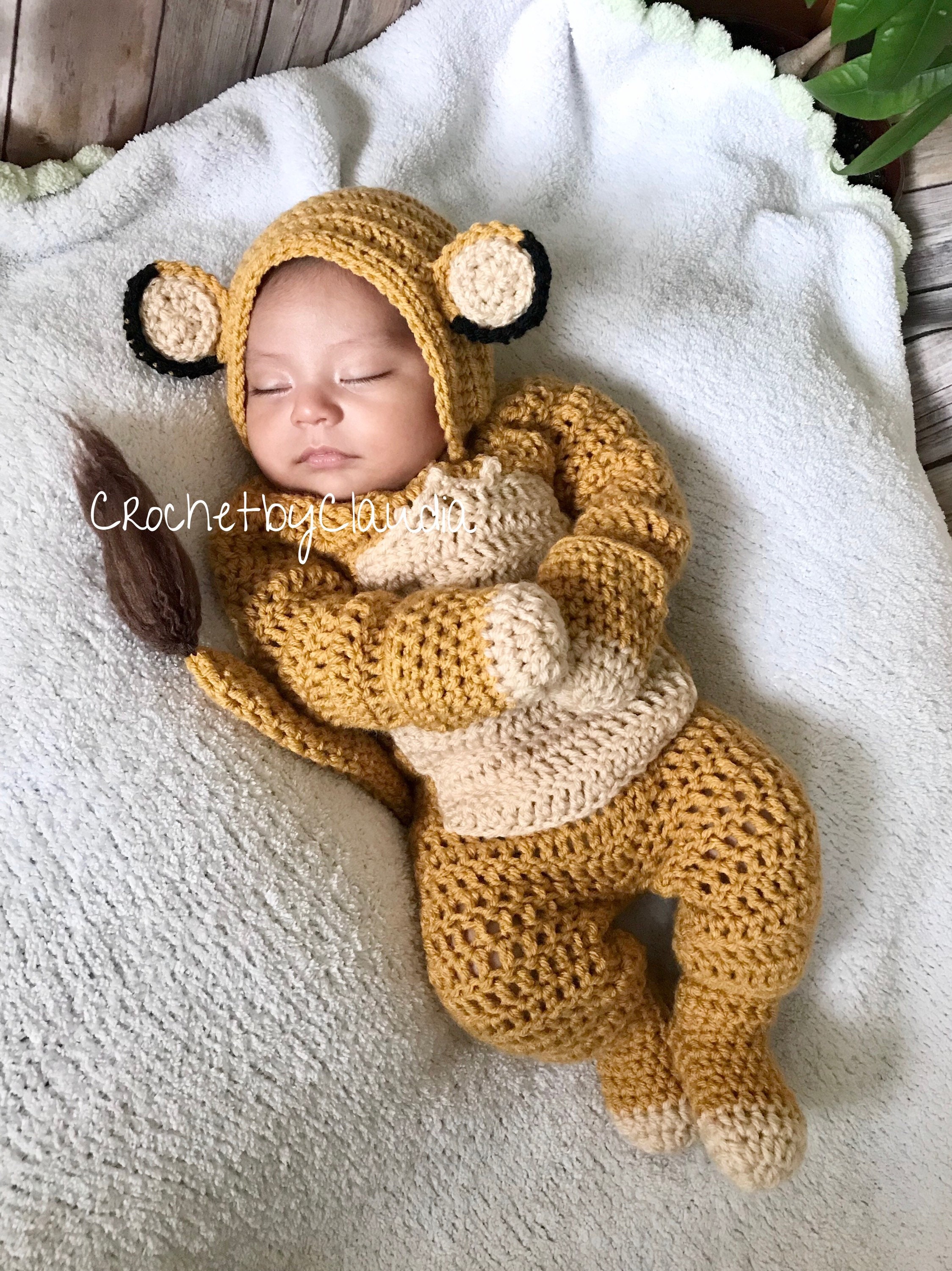 newborn lion costume